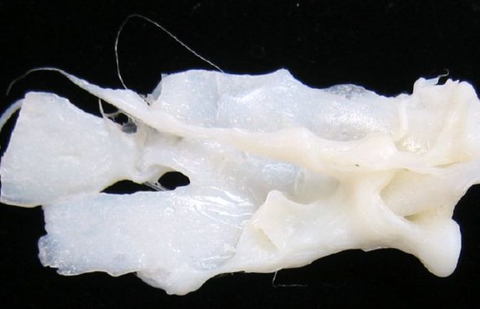 Melted Nylon