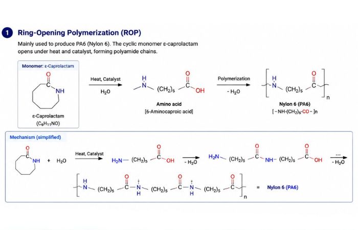 Ring-Opening Polymerization（ROP）