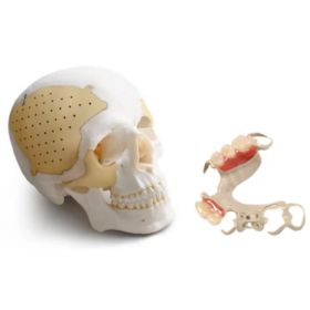 FDA-compliant virgin PEEK rod is sterilizable by steam, dry heat, ethanol and gamma radiation, and its raw material meets EU & US FDA food-contact rules, trusted for surgical instruments, sterilization baskets and food-processing parts.