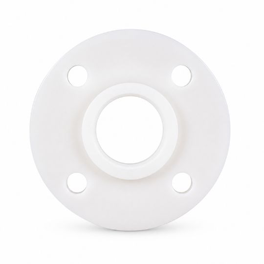 PVDF Flange